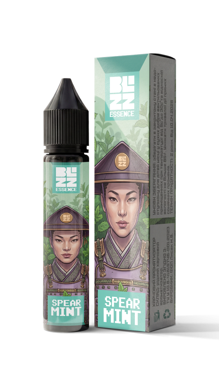 Набір для самостійного виготовлення Blizz Essence Spearmint 30 мл